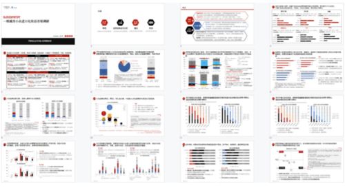 應(yīng)屆生擇業(yè)新視角 追隨馬云建議，小公司市場(chǎng)營(yíng)銷(xiāo)策劃崗位的機(jī)遇與挑戰(zhàn)